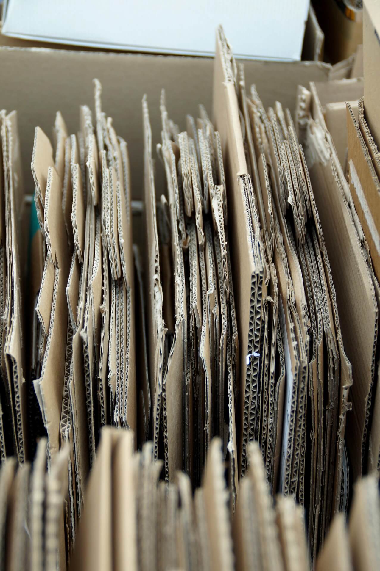 trasporto rifiuti non pericolosi